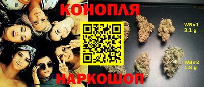 стаф Долгопрудный